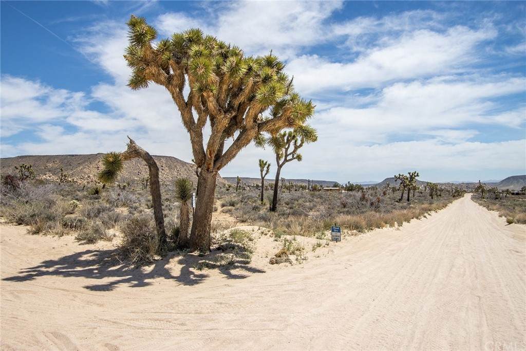 52272 Gamma Gulch Road - Photo 1