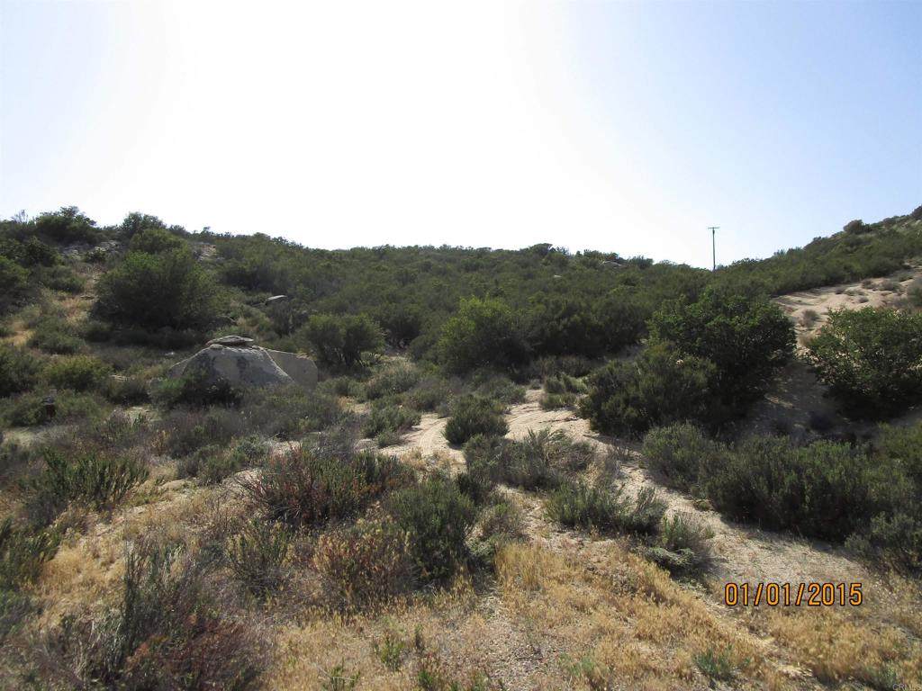 35613 Stagecoach Springs Rd. - Photo 1