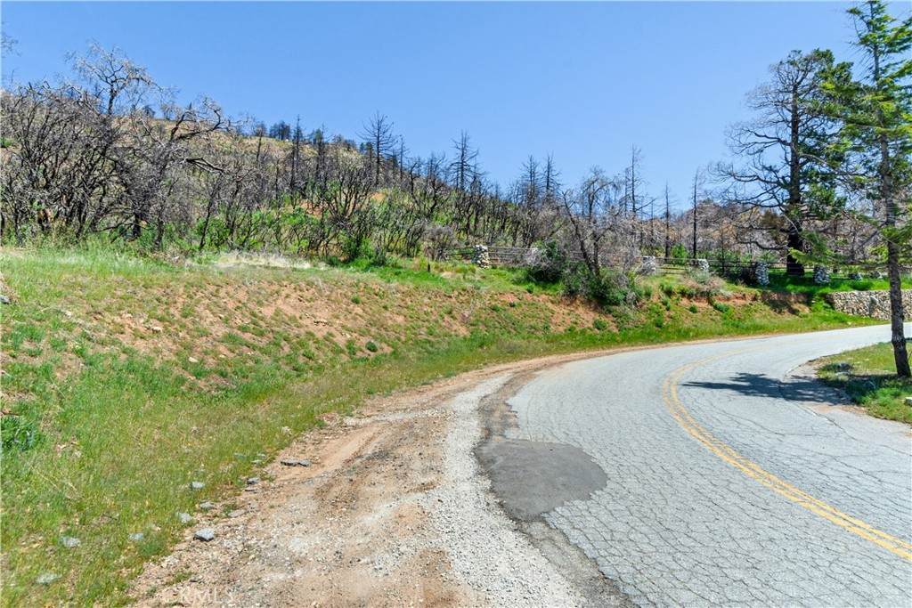 0 Pine Bench Road - Photo 1