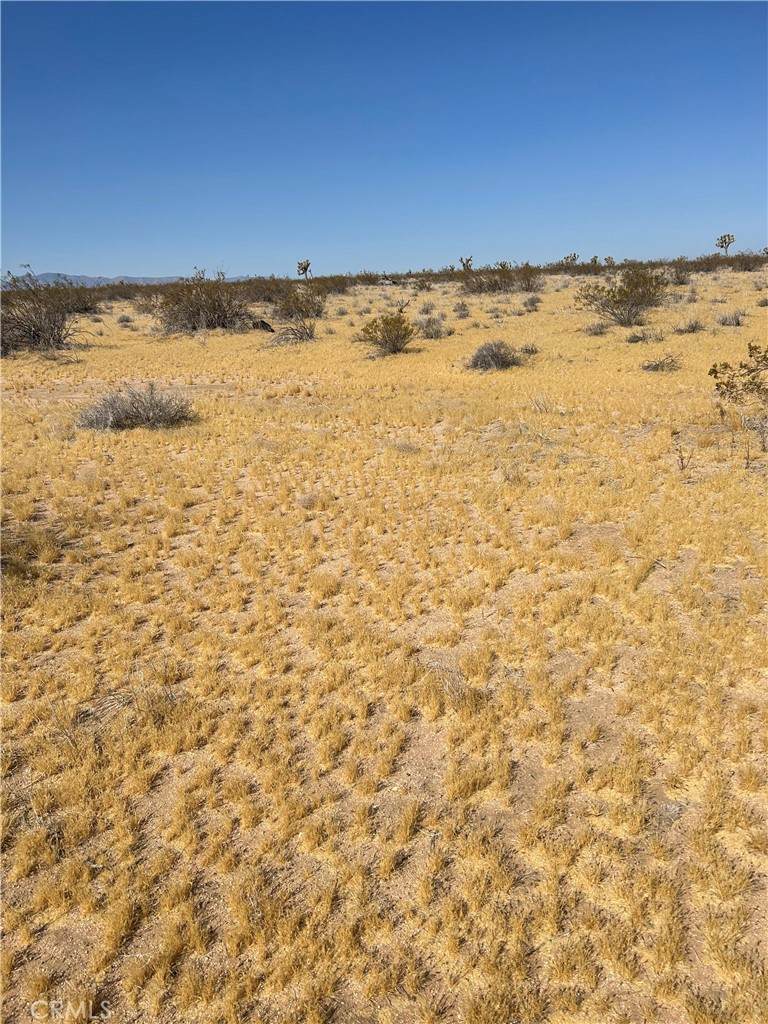 5 Mi N/O Shadow Mt Road - Photo 1