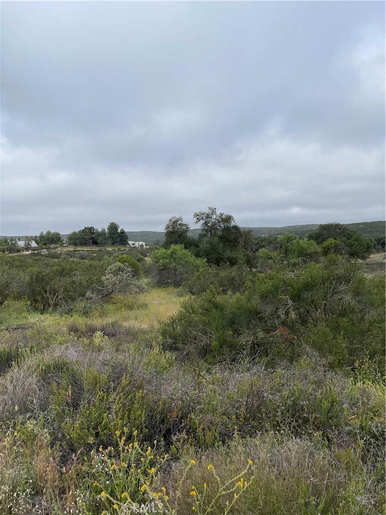44 Sable Drive - Photo 1