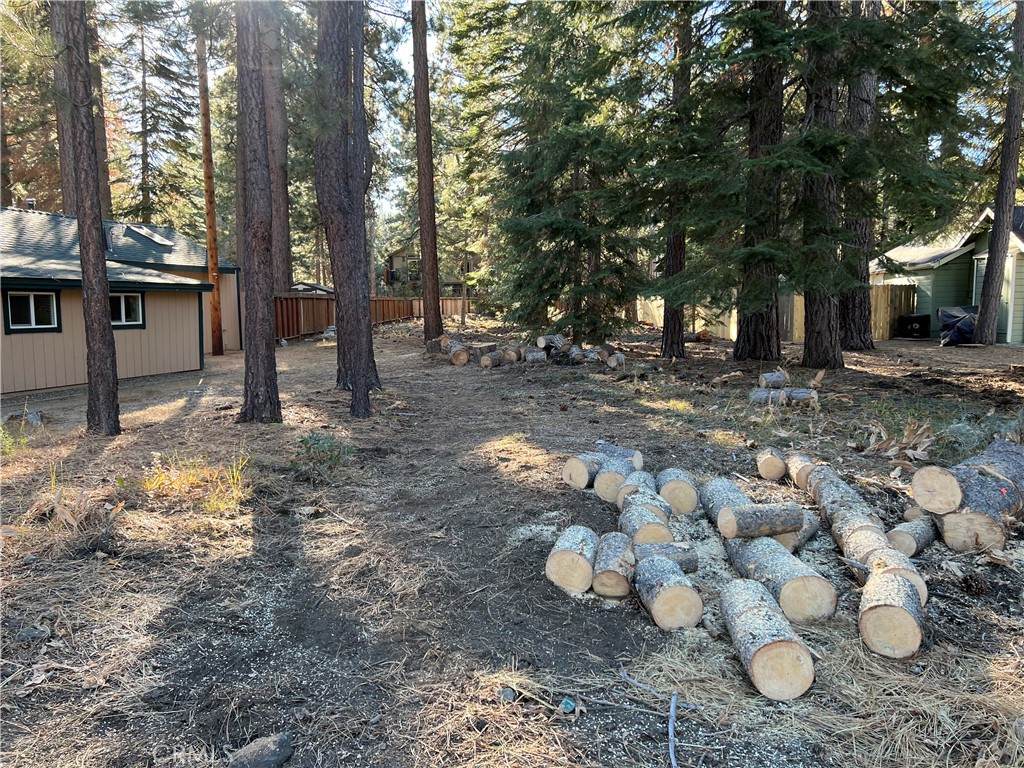 1124 Tata Lane - Photo 1