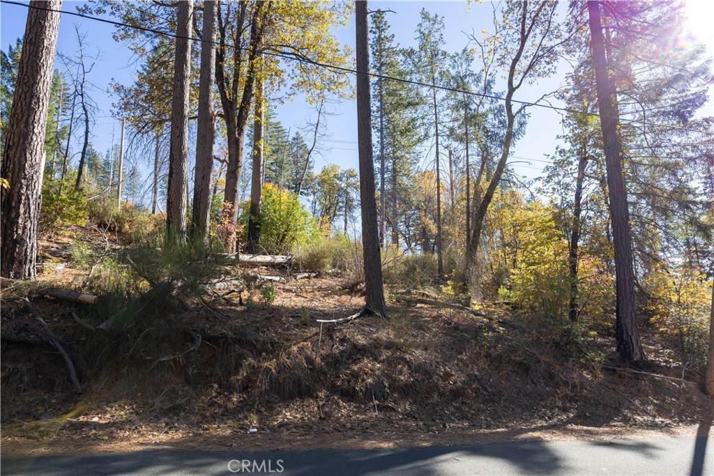 10991 Gifford Springs Road - Photo 1