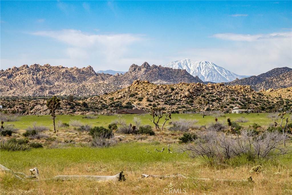52550 Geronimo Trail - Photo 1