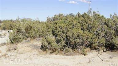 0 Vac/Vic Avenue J12/8Th Ste - Photo 1