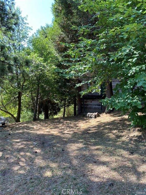 0 Pine Drive - Photo 1