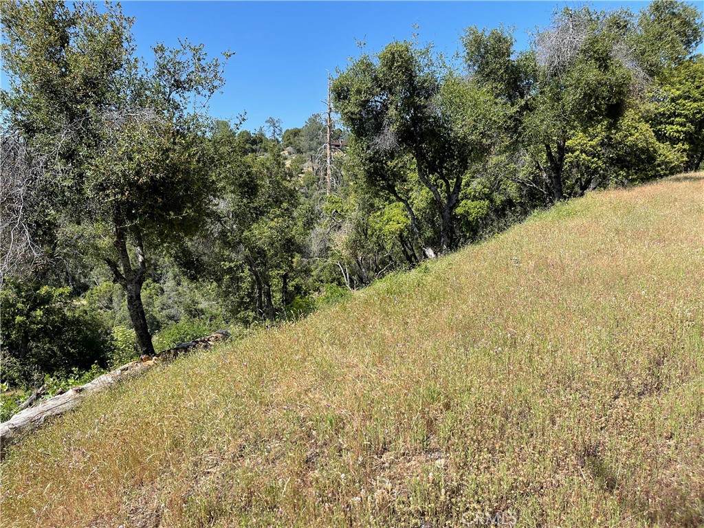 54 Rd 416 - Photo 1