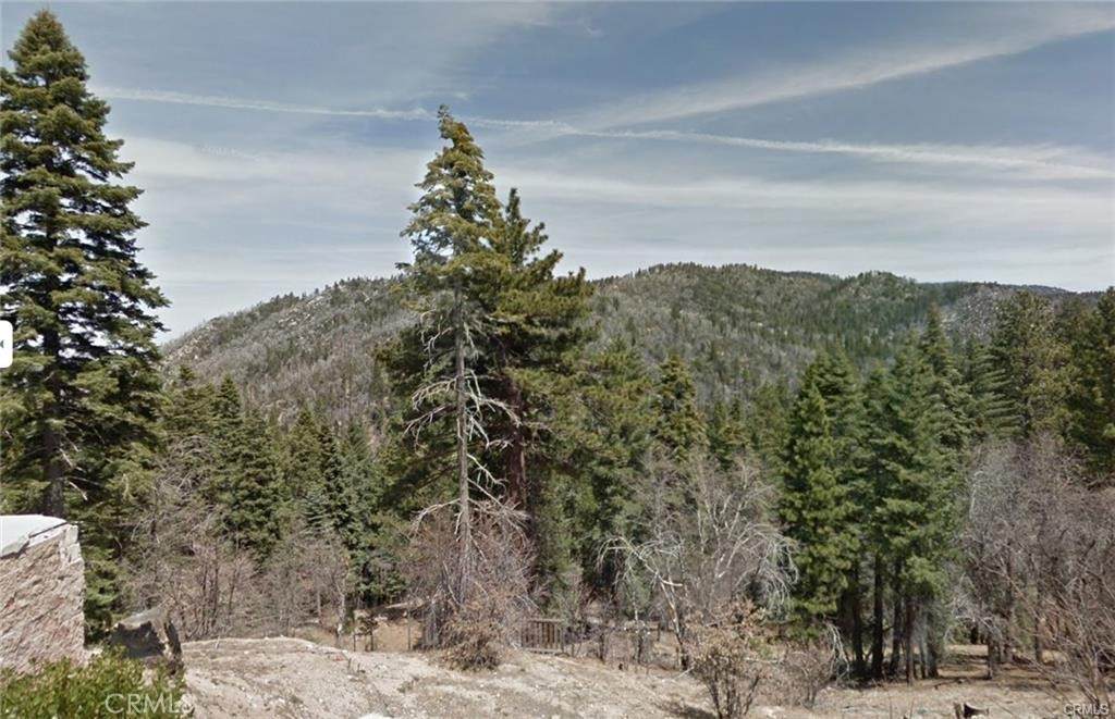 0 Deep Creek Drive - Photo 1