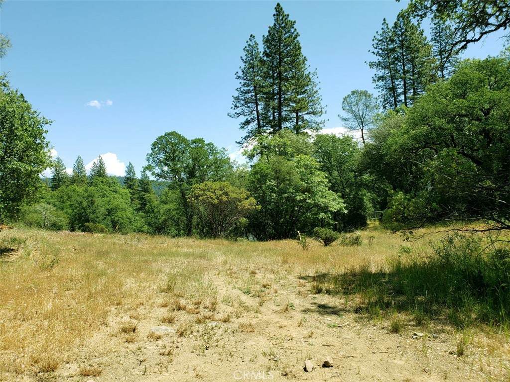 13903 Ingersoll Drive - Photo 1