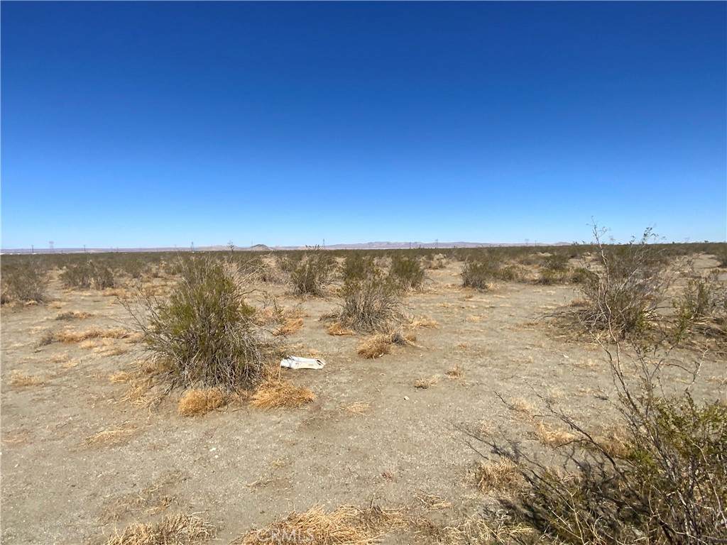 0 Oasis Road - Photo 1