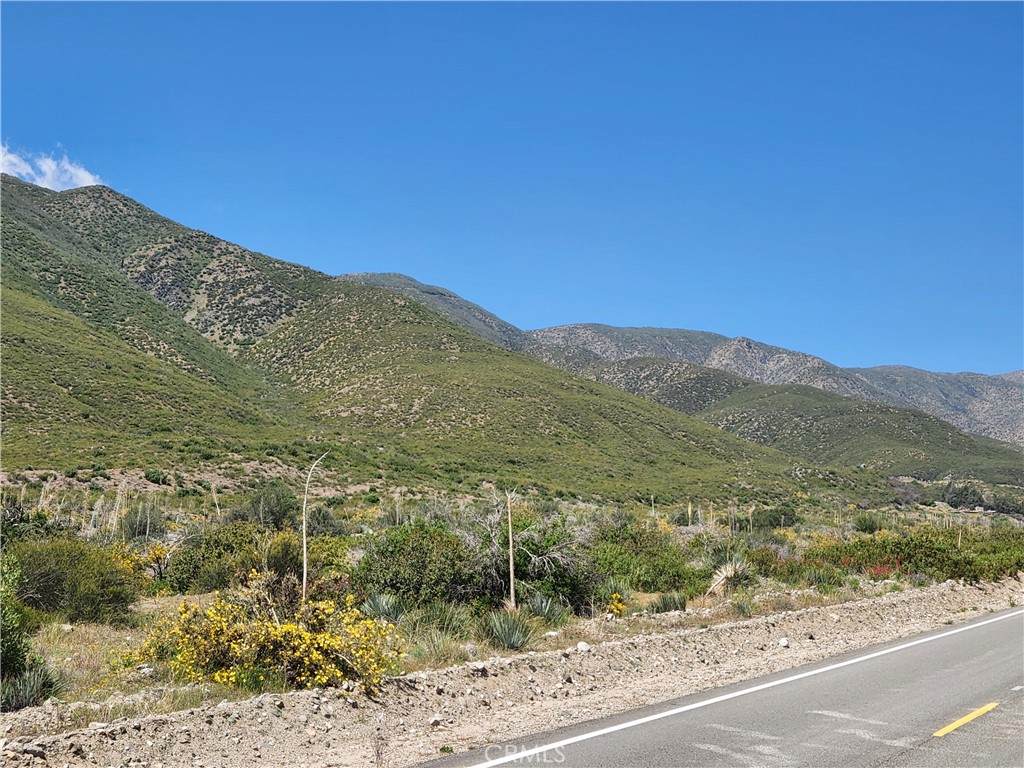 6201 Lone Pine Canyon Road - Photo 1