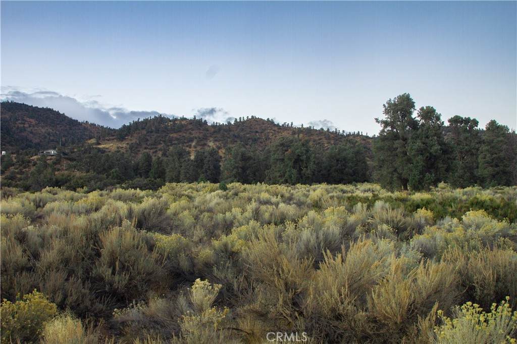 0 Curtis Trl - Photo 1