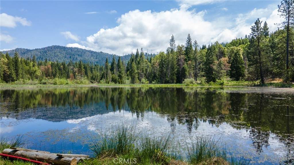 5657 Worman Road - Photo 1