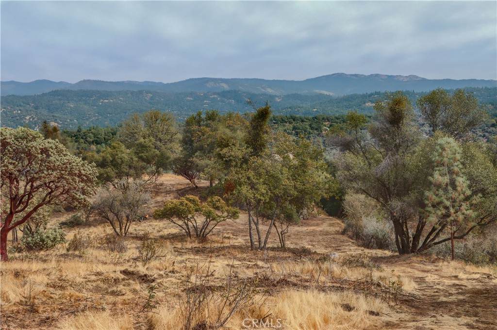 2 Stillmeadow Lane - Photo 1