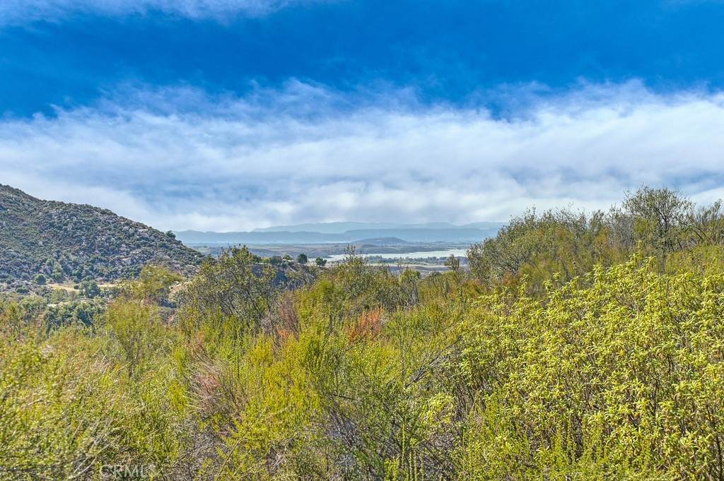 0 Overview Drive - Photo 1