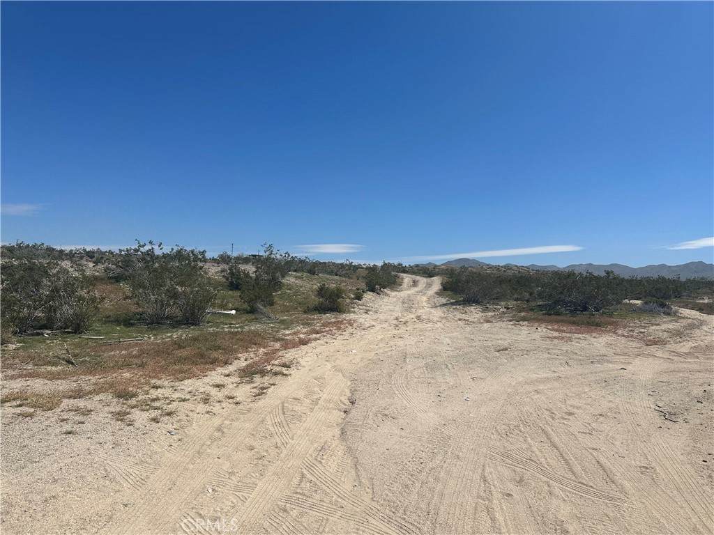 154 Rattlesnake Gulch - Photo 1