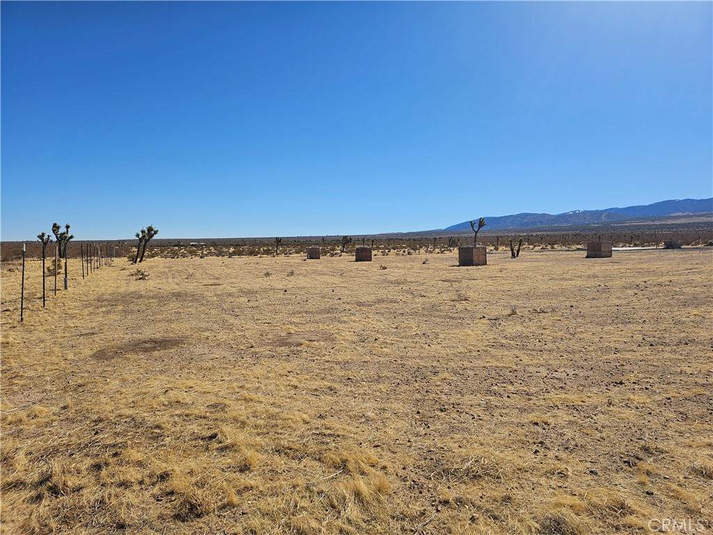 0 175th Street - Photo 1