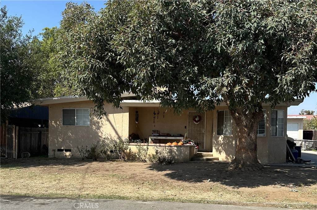 10649 Renner Street - Photo 1