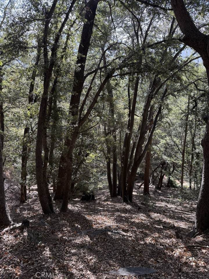 0 343-061-27-000 - Photo 1