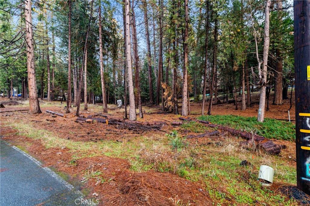 1 Old Madrone Road - Photo 1