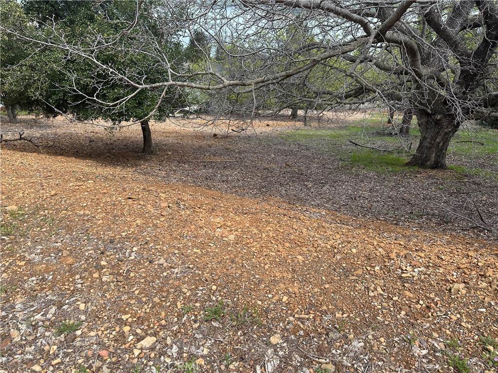 3552 Crestwood Drive - Photo 1