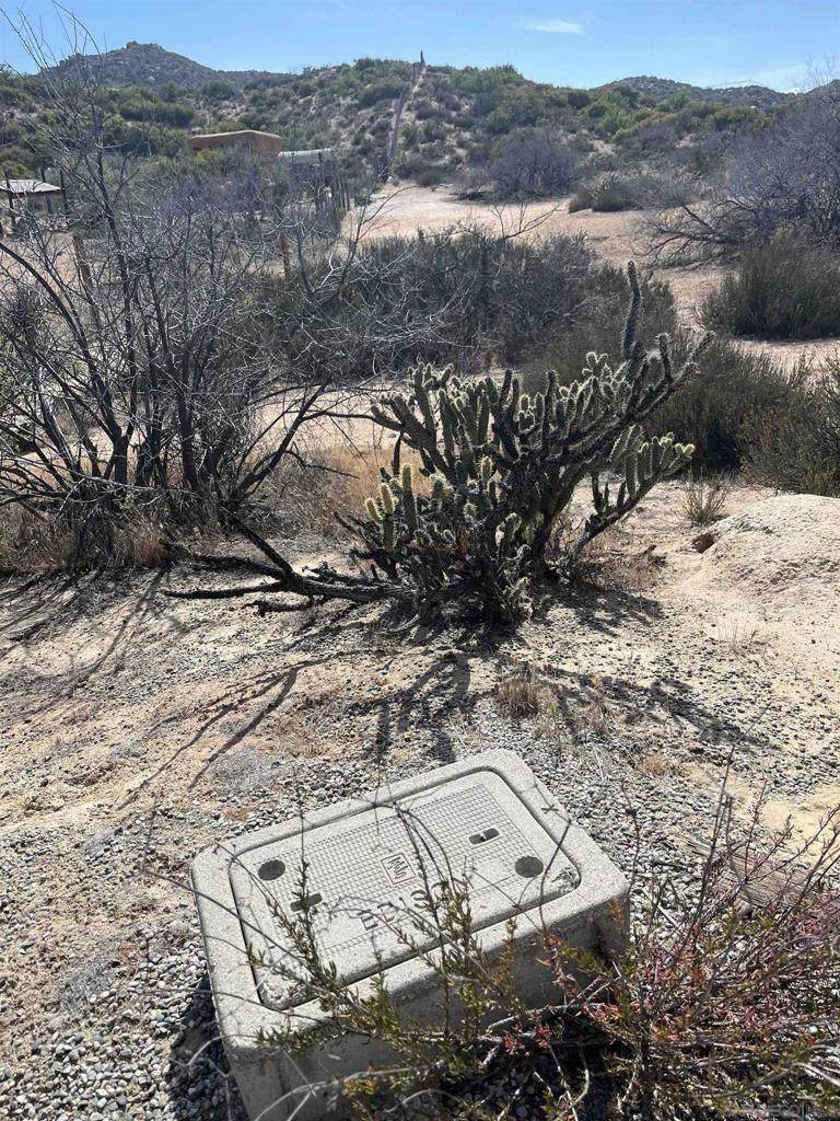 0 Old Highway 80 - Photo 1