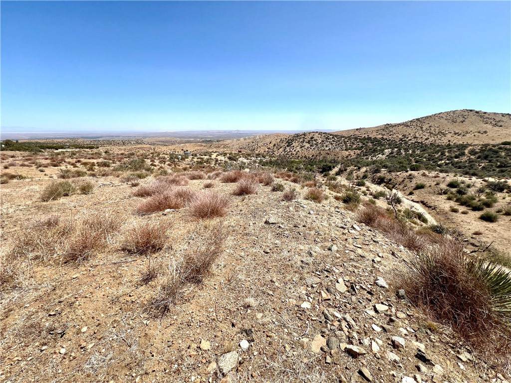 113 Juniper Mesa Road - Photo 1