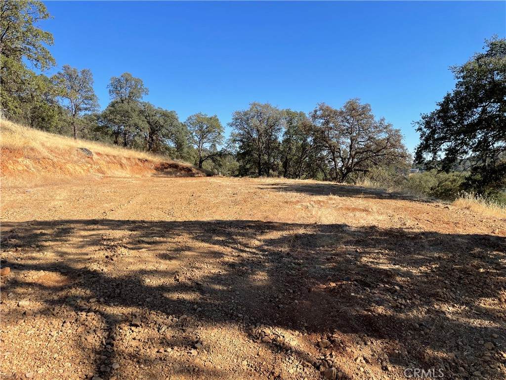 7607 White Oak Lane - Photo 1