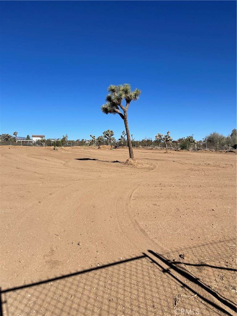 3884 Indio Avenue - Photo 1