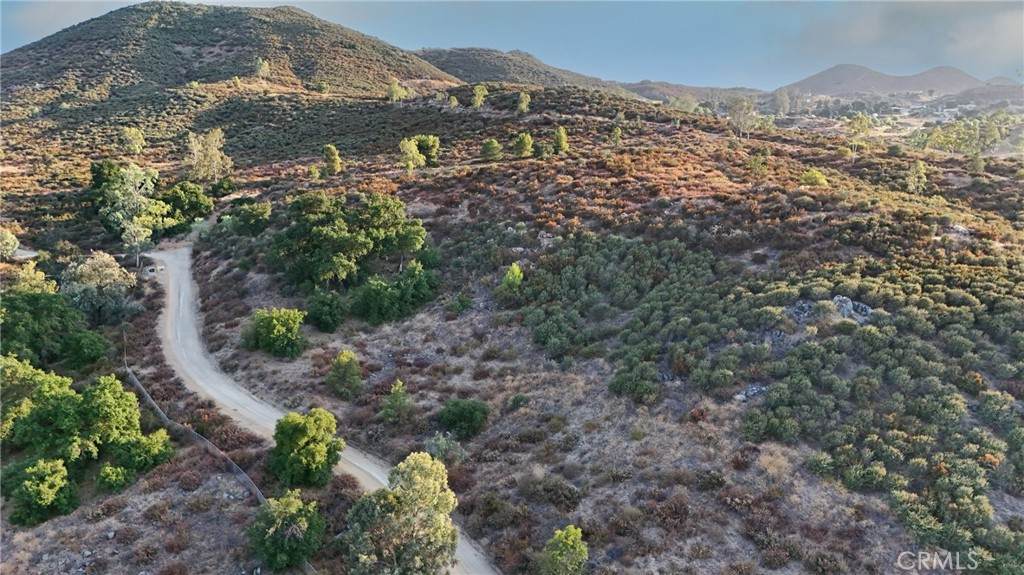 33515 Wild Lilac - Photo 1