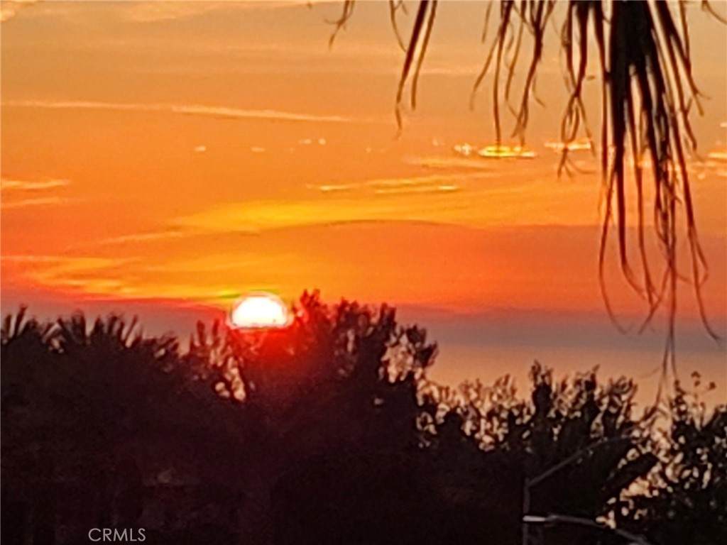 87 Palm Beach Court - Photo 1