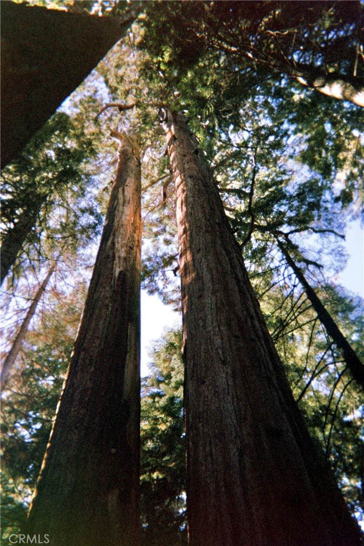 https://bt-photos.global.ssl.fastly.net/socal/orig_boomver_4_408397639-2.jpg