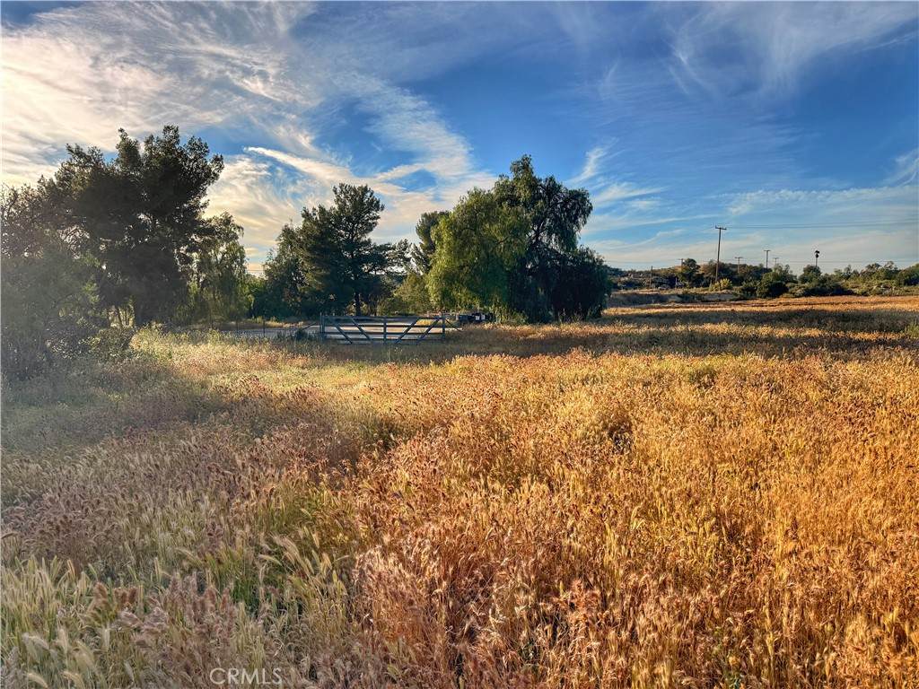 0 Highway 79 - Photo 1