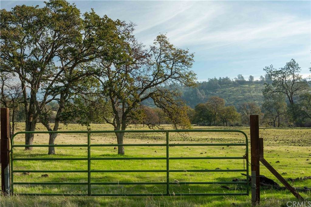 0 Richardson Springs Road - Photo 1