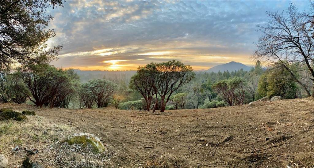17 Vista Lago - Photo 1