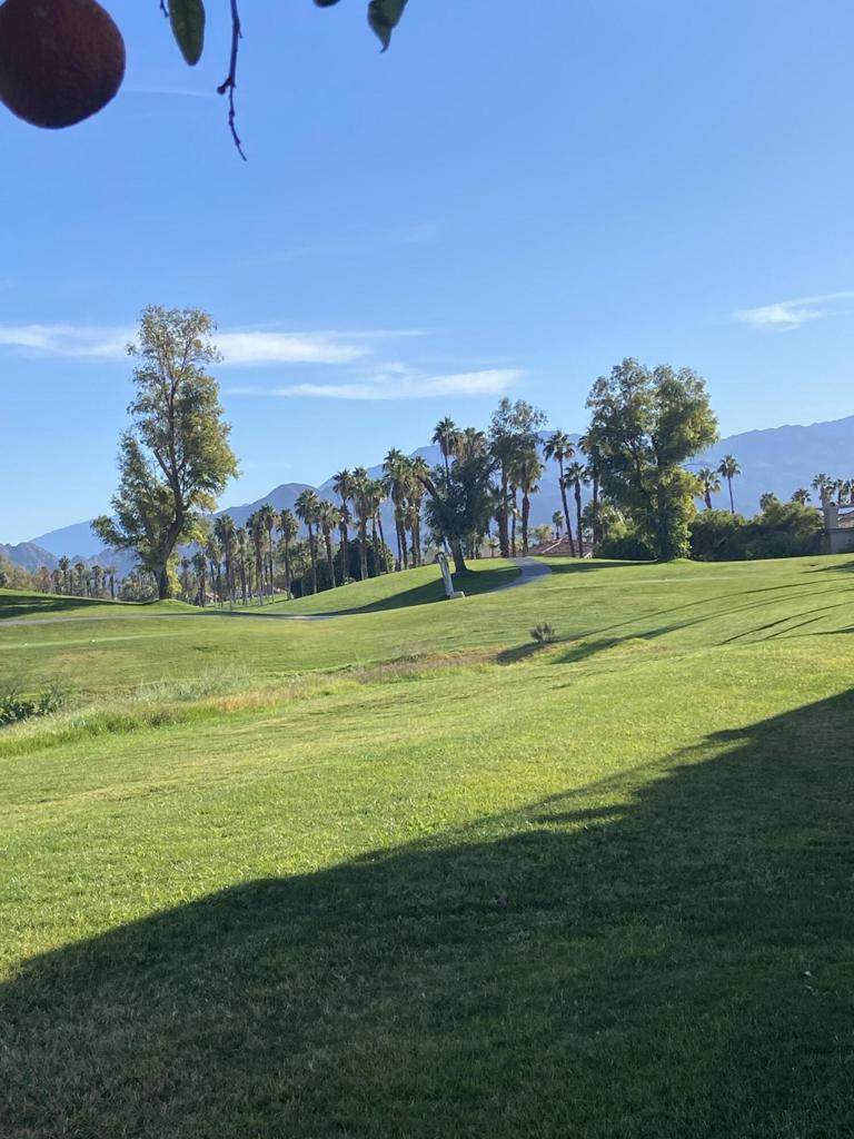 699 Vista Lago Circle - Photo 1