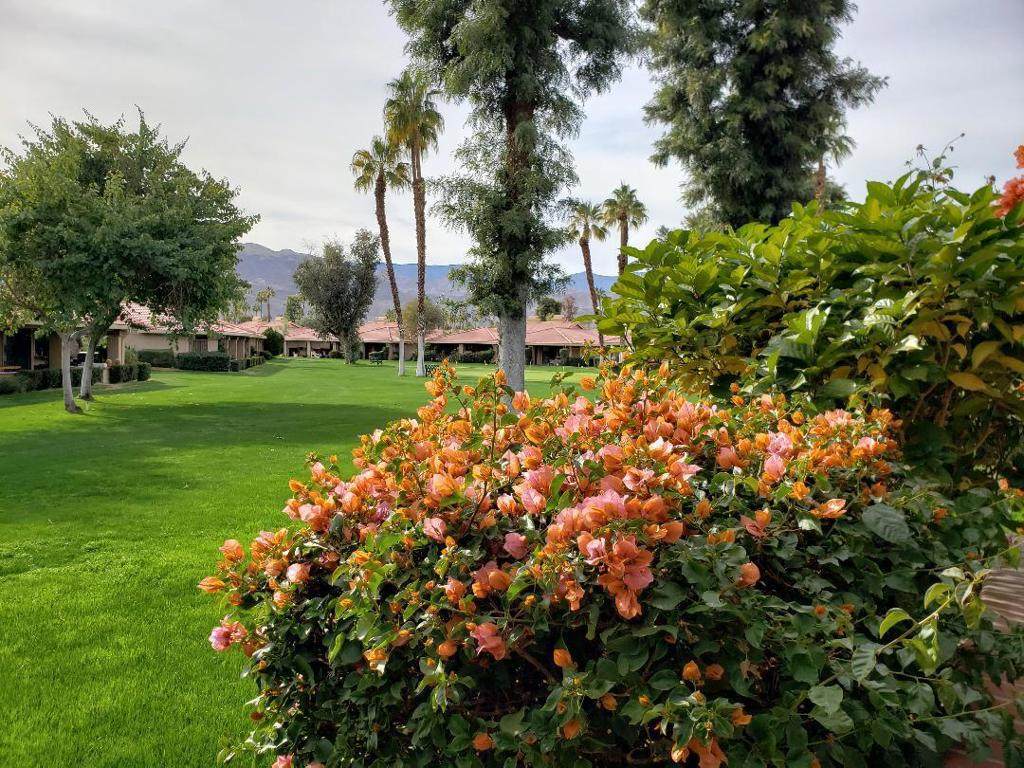 74 Camino Arroyo Place - Photo 1