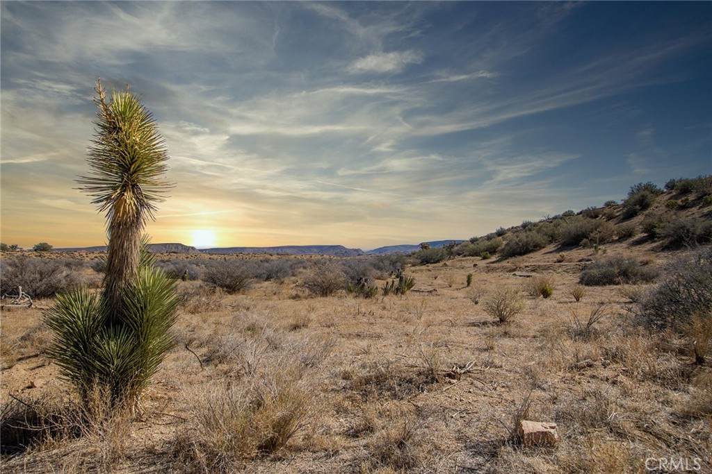 50600 Burns Canyon Road - Photo 1