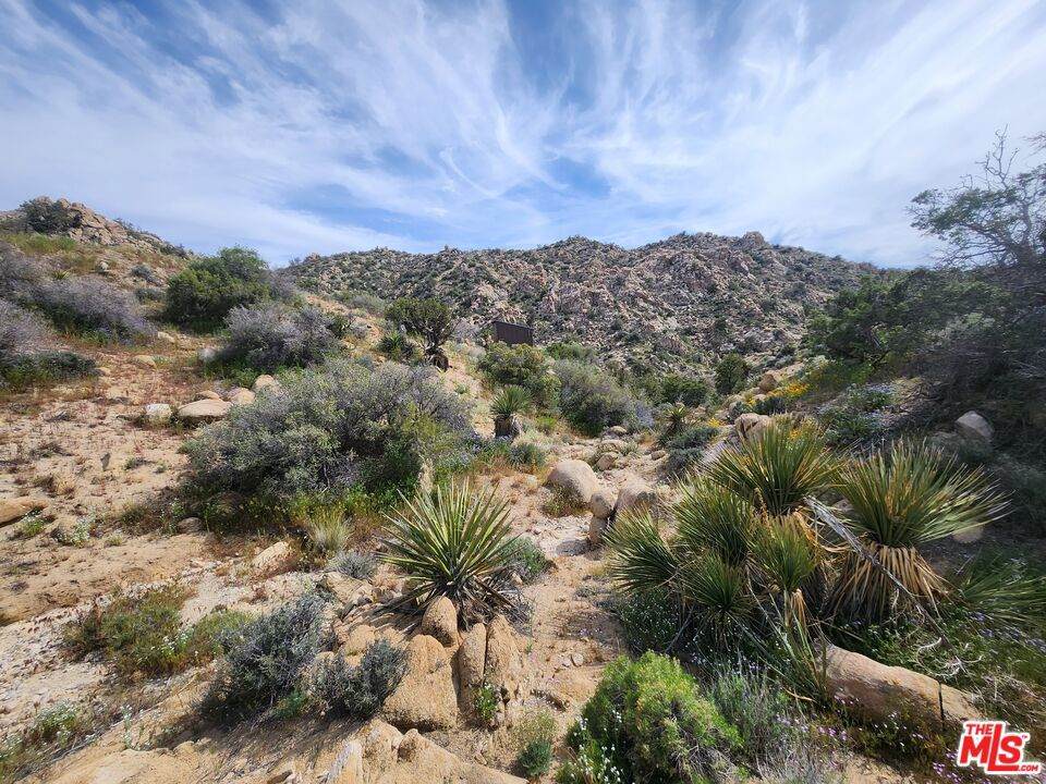 20 Omega Trail - Photo 1