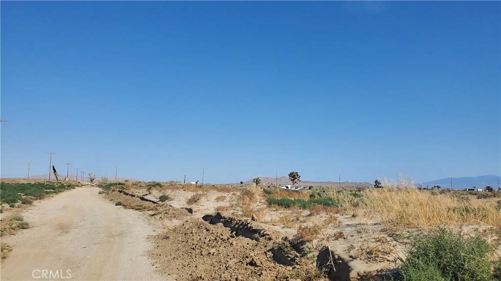 0 Ave L Near 87 St East - Photo 1