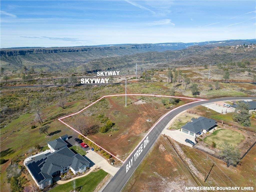 0 Bay Tree Drive - Photo 1