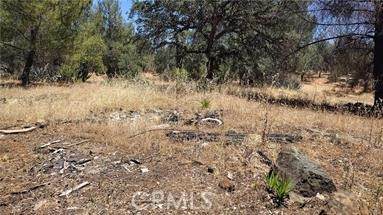 0 Colina - Photo 1