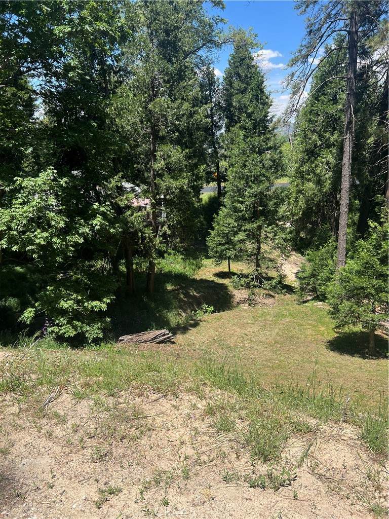 24580 Bernard Drive - Photo 1