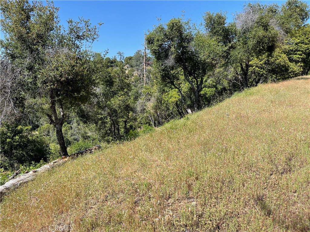54 Rd 416 - Photo 1