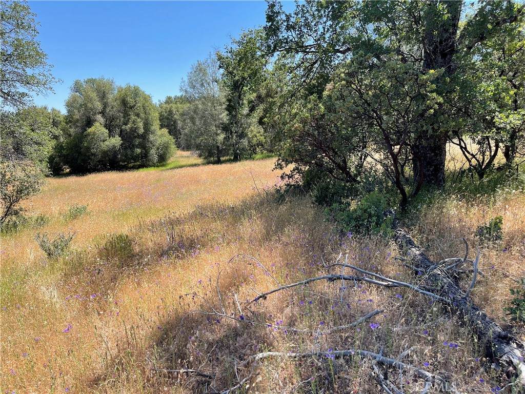 30 Bouldercreek Drive - Photo 1