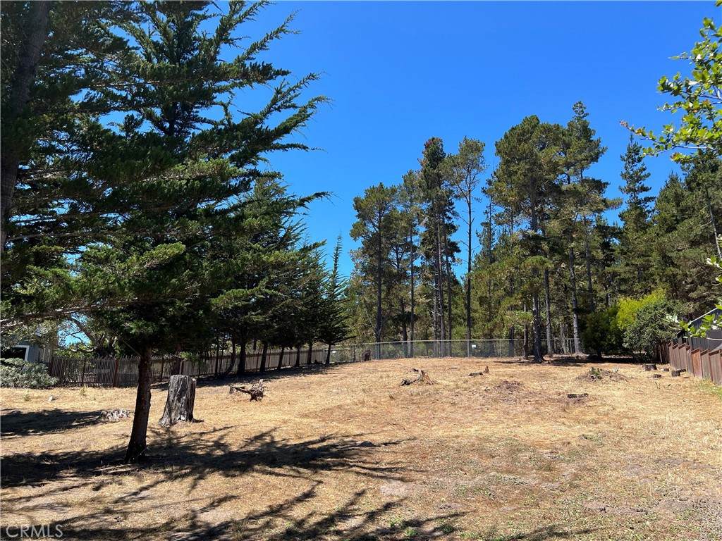 0 Warren Road - Photo 1