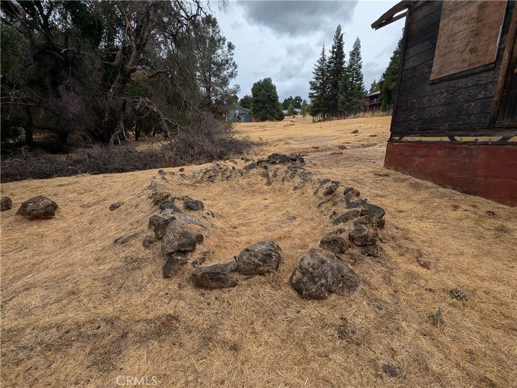 16789 Spruce Grove Road - Photo 1