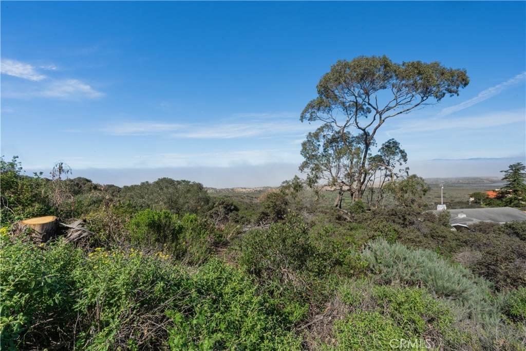 0 Pecho Valley Rd - Photo 1