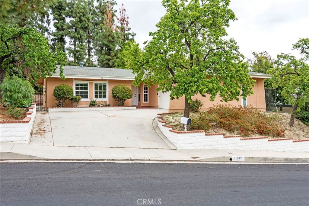 23667 Draco Way - Photo 1