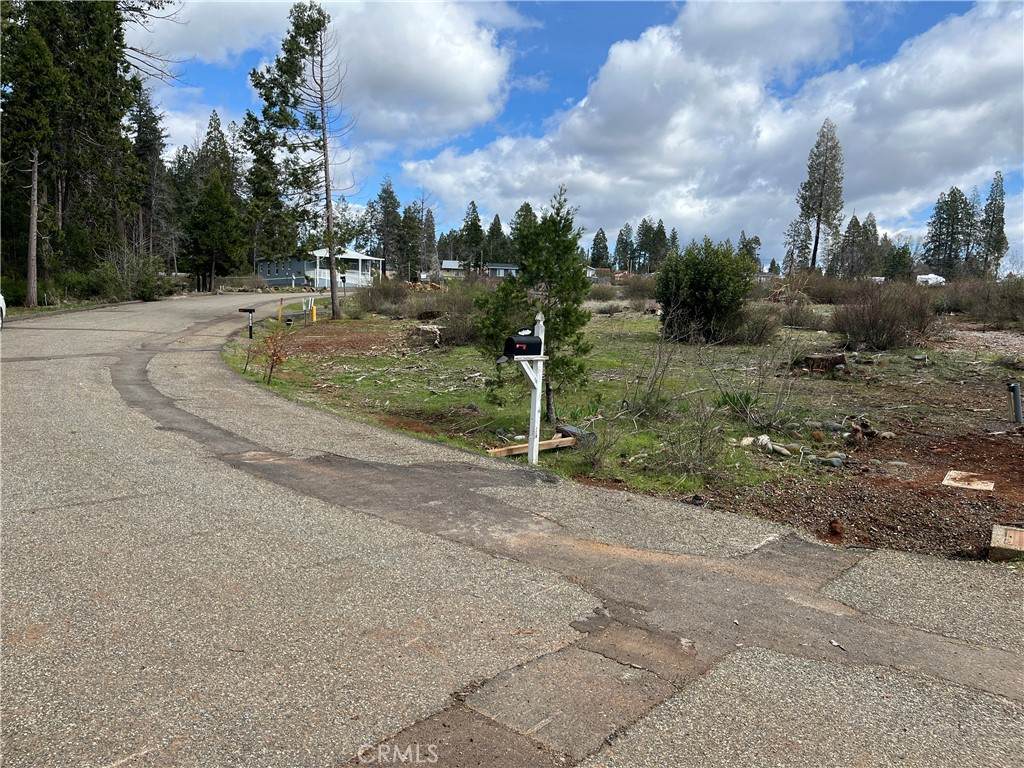 13924 Chestnut Circle - Photo 1